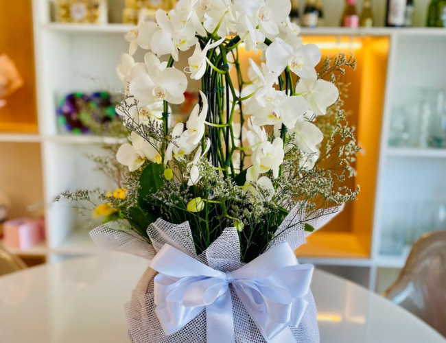 ORQUIDEAS2