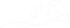 flor_branca-e1661955081981.png